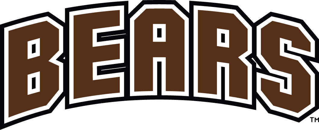 Brown Bears 1997-Pres Wordmark Logo v2 iron on transfers for T-shirts